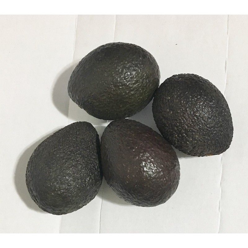 3 Pounds Fresh Hass Avocado