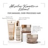 Rene Furterer ABSOLUE KERATINE Repairing Shampoo for Damaged, Over-Processed Hair,