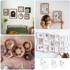 Grevosea 12 Pcs Wall Plate Hangers, Adhesive Picture Hangers Frame