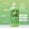 Acondicionador de Bergamota Fuerza e Hidratación Productos Mart Mexico 500