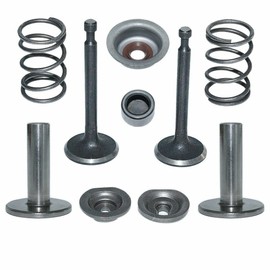 PHUOC LOC THO for Intake Exhaust Valve Retainer Spring Stem Seal Kit for Honda GX160 GX200 Engine