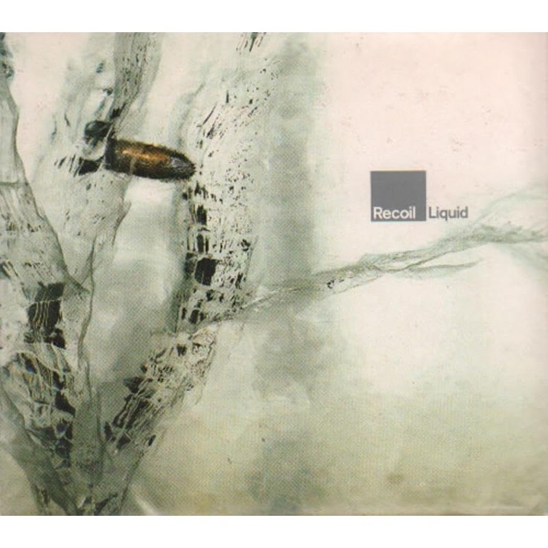 HILDEGARD VON BINGEN: LIEDER UND ANTIPHONEN