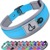 Joytale Dog Collar, Soft Padded Neoprene Collars for Medium Dogs,