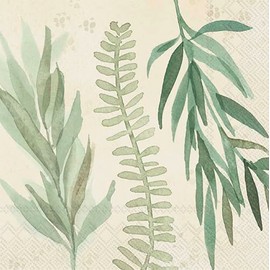 IHR Ideal Home Range Party Napkins Disposable 3-Ply Paper Lunch Napkin Pack, 6.5" x 6.5", Leaf And Stem Leaves (Cream), 20-Count