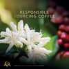 L'OR Espresso Colombia Coffee Beans 500G Intensity 8 100% Arabica