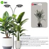 GLOWRIUM Indoor Grow Light, 40 Watt Full Spectrum LED Plant