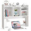 SEGAWE White Office Organization Shelves for Top of Desk Organizers