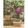 Better-Gro FBA_5271 Basket, Browns