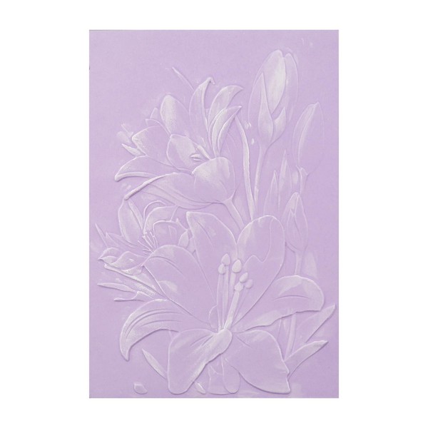 Briartw 3D Embossing Folder for Card Making,Lily Flowers Clear Plastic
