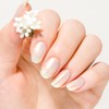 Genish Manicure 2025 Silver Osmanthus Package OP125 Dessert Lily Limited