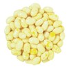 Bayside Candy Jelly Bean Collection All Flavors Jelly Beans (5LB,