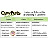 CowPots TV208926 3" Round Cow Pot Planter (12 Pack), 175mL