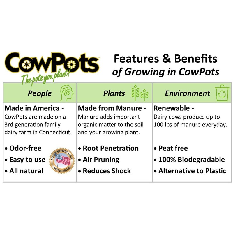 CowPots TV208926 3" Round Cow Pot Planter (12 Pack), 175mL