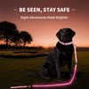 PetIsay Night Walking LED Dog Leash - 6FT Reflective &