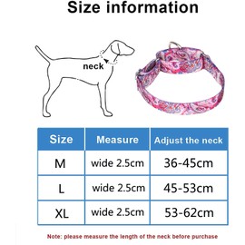 Bbmmayy Martingale Dog Collars -Adjustable Soft Dog Collar.Colorful Flower Multicolor Cute Patterns for Puppies for Medium Large Dogs Walking Running Training (L:2.5cm Wide for 45-53cm Neck, Gold)