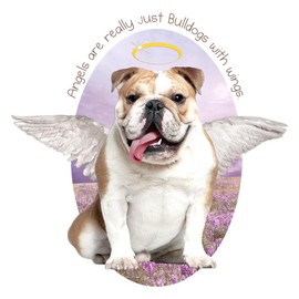 CafePress Bulldog Angel Throw Blanket Super Soft Fleece Plush Throw Blanket, 60"x50"