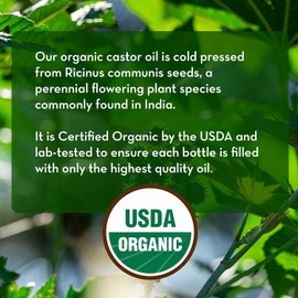 Pure Body Naturals Organic Castor Oil – 1 fl oz | Cold-Pressed & Hexane-Free | Eyelash & Eyebrow Growth Serum with Precision Applicator Kit | Nourishes, Strengthens & Thickens Lashes and Brows Naturally