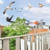 Bird Reflective Spinning Deterrent Devices for Outside Keep Birds Away