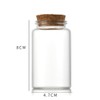 ICSTM Glass Bottles with Cork,2 Pack 4.5 OZ Empty Clear