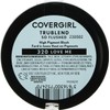 TrueBlend So Flushed High Pigment Blush