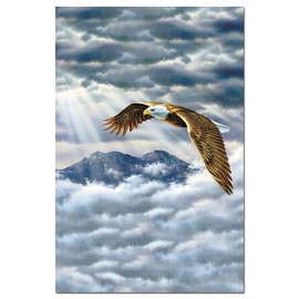 Tree-Free Greetings ECOnotes Notecard Set, 4 x 6 Inches, 12-Count Notecards with Envelopes, Eagle Spirit (66685)