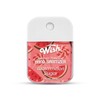 Wish Liquid Hand Sanitizer Spray- Effective Germ Protection for Daily