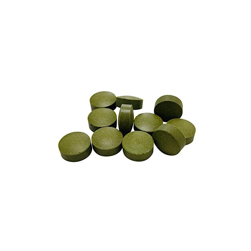 Moringa Supplement, Value Pack, 240 Capsules, Up to 4 Months