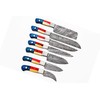Smart & Sharp Custom Handmade Damascus Chef Knives Set/Kitchen Knives