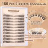 TOOCHUNAG Natural Lash Clusters 180pcs Individual Eyelashes Wispy Cluster Lashes