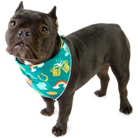 Zodaca St Patricks Bandana Set for Dogs, Irish Dog Costumes Accessories (Green, 6 Pack)