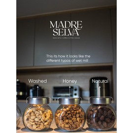 Colombian Specialty Pink Bourbon Coffee Whole Bean Medium Roast Arabica Gourmet Fresh Roasted Single Origin Premium Low Acid Exotic Notes Rich Aroma Smooth Flavor High Altitude Gift Ready 8.8oz 250g