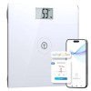T Electronics Digital Scale for Body Weight up to 440lbs