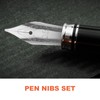 Gadpiparty 30Pcs Fountain Pen Nibs Set Replacement Nibs for Students