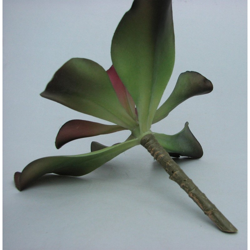 Maruwa Boeki Fake Plants D 400796100