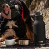 Asobu - Dog Bowl Buddy - Edelstahlflasche with 2 Näpfen