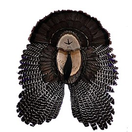 Turkey Fan Plaque/Turkey Mounting Kit/Turkey Hunting Turkey Fan and Beard Mount/Turkey Fan Mount And Display Kit/One Of A Kind Turkey Fan Mount Turkey Fan And Wing Mount