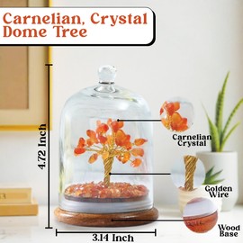 HOME INFINIX CARNELIAN CRYSTAL TREE IN GLASS DOME - Money Tree, Crystal Tree of Life, Bonsai Tree, Feng Shui Tree for Positive Energy, Meditation,Reiki, Birthday, Spiritual, Gifts, Home & Office Decor