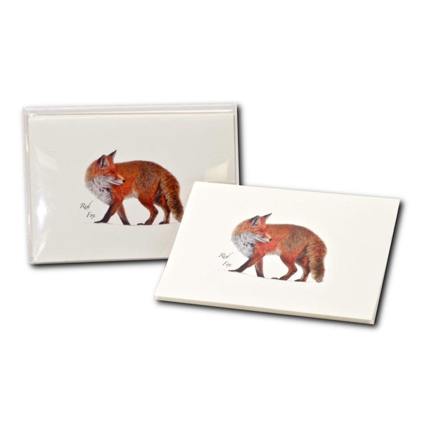 Earth Sky + Water - Red Fox Notecard Set - 8 Blank Cards with Envelopes