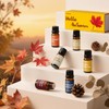 Diffuser Fragrance Oils, Aromtopia Essential Oils for Diffusers for Home,