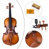 Rhythm Violin Set for Beginners,Acoustic Violins Starter Kit Package for