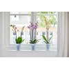 elho Brussels Orchid High 12.5 - Flower Pot for Indoor
