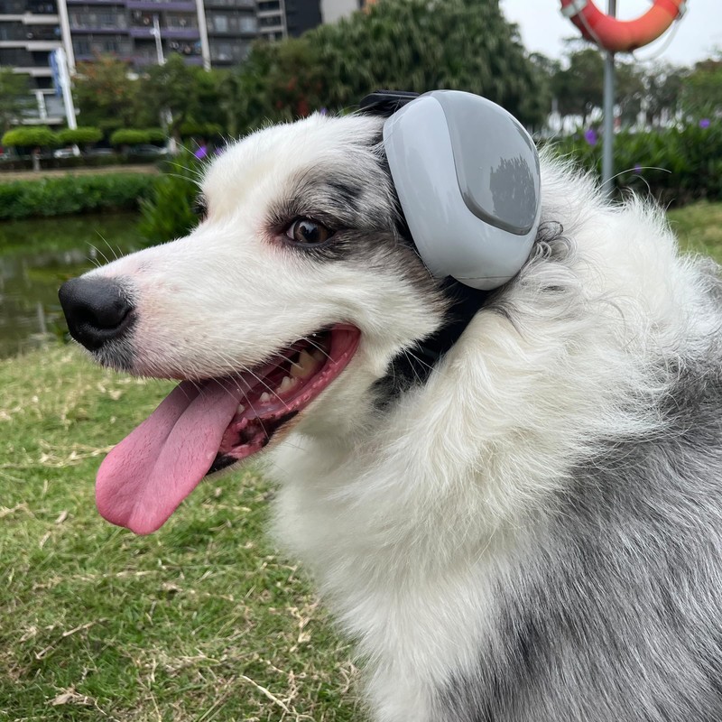 derYEP Dog Earmuffs GEN2 For Hearing Protection 30dB NRR ear