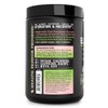 Zeal Electrolyte Powder - 90 Servings | Keto Electrolytes Powder