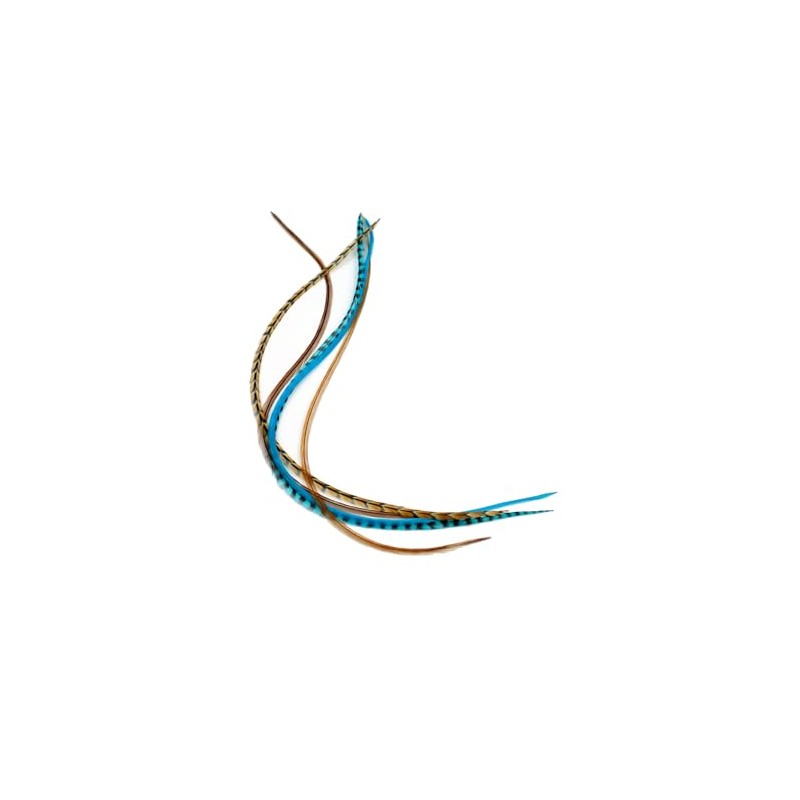 Real Feather Hair Extensions 5 Pack + Rings/Loop (Aqua Auburn)