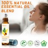 3 PCS Frankincense Essential Oil Blend Oils Roll On, Patchouli,