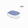 Rotho 0.5 Litre Rectangular Container - Blue Lid