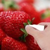 2Pcs Stainless Steel Strawberry Huller Stem Remover Kitchen Accessories,Potatoes Pineapples
