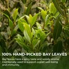 Bay Leaves Tea - 550 Dried Whole Leaves, 4.06 oz,