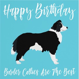 Hunts England - Border Collie Birthday Card - Border Collies Are The Best - For Mum, Sister, Grandma, Nana, Friend, Dog Lovers, Girlfriend, Wife, Women - Iconic Collection - Funny Card