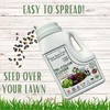 Flawn Seed Kits Tri-Color Clover Seed Plus Mow Less Fine